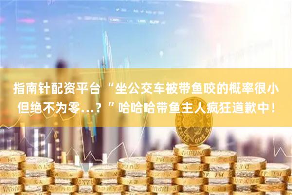 指南针配资平台 “坐公交车被带鱼咬的概率很小但绝不为零…？”哈哈哈带鱼主人疯狂道歉中！
