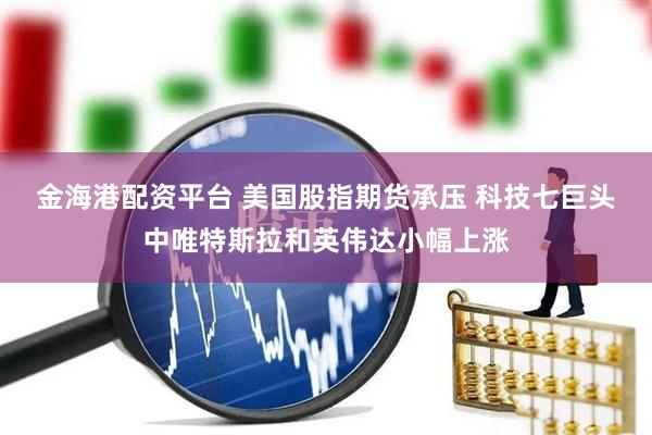 金海港配资平台 美国股指期货承压 科技七巨头中唯特斯拉和英伟达小幅上涨
